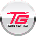 tigerbig1.com icon