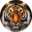 tigercorrectional.com icon