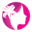 tigerlilyfoundation.org icon
