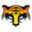 tigernet.ru icon