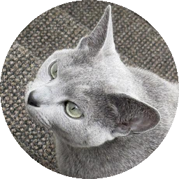 tijn.dev icon