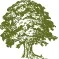 Timber Creek Golf Course logo