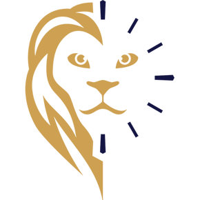 timeking.nl icon