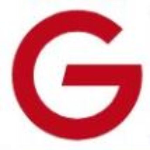 timesng.com logo