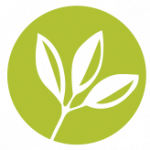 timmerman-alfalfa.uk icon