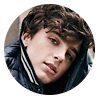 timothee-chalamet.com icon