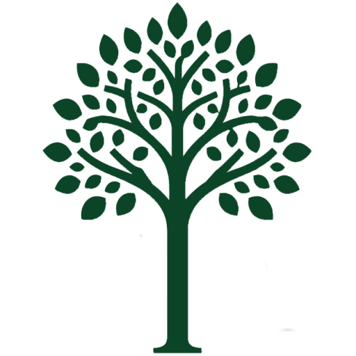 tims-frankfurt.com icon