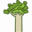tindall.org.nz icon