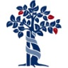 tingelhoff.de icon