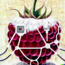 tinycomputers.io icon