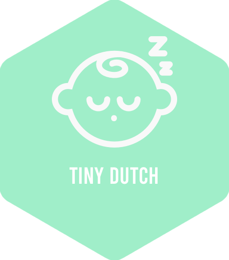 Favicon tinydutch.nl
