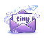 tinyhost.shop icon