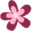 tipnut.com icon