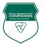 titusvillemoldremediation.com icon