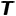 Tizbi logo
