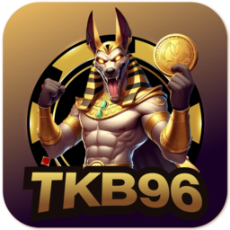 tkb96.fun icon