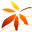 tmsrdesign.com icon