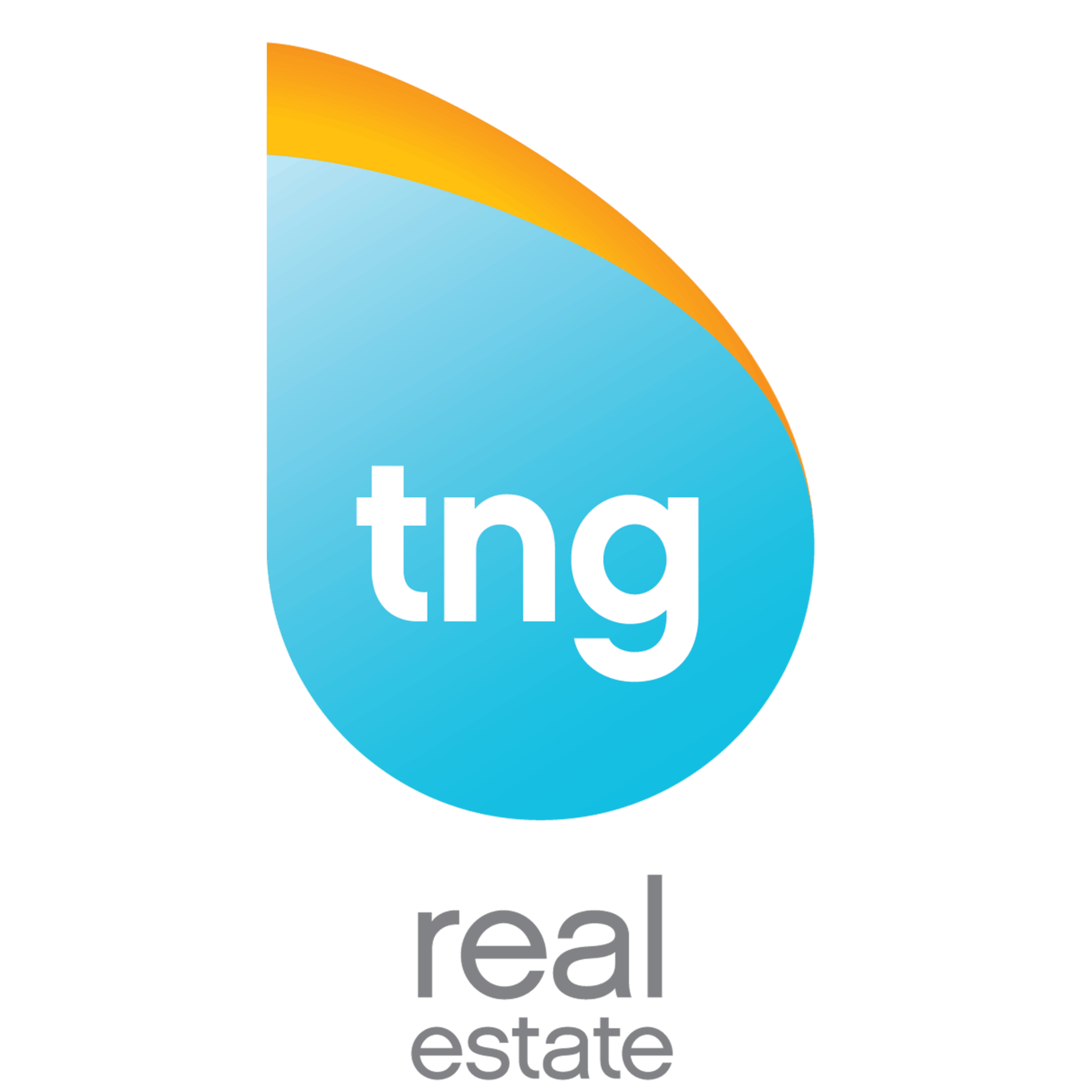 tngrealestate.com icon