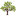 toaks.gov icon