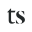 toechtersoehne.org icon