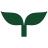tomaszewski.pl icon