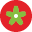 tomatostores.com icon