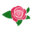 tommenaldi.com icon