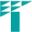 tomoevalve.com icon