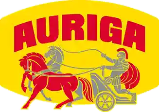tonnoauriga.it icon