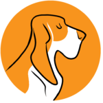 toonhoundstudios.com logo