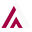 top-director.ro icon