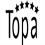 topa-import.com icon