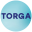 torgaoptical.com icon