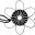 toroid.com icon