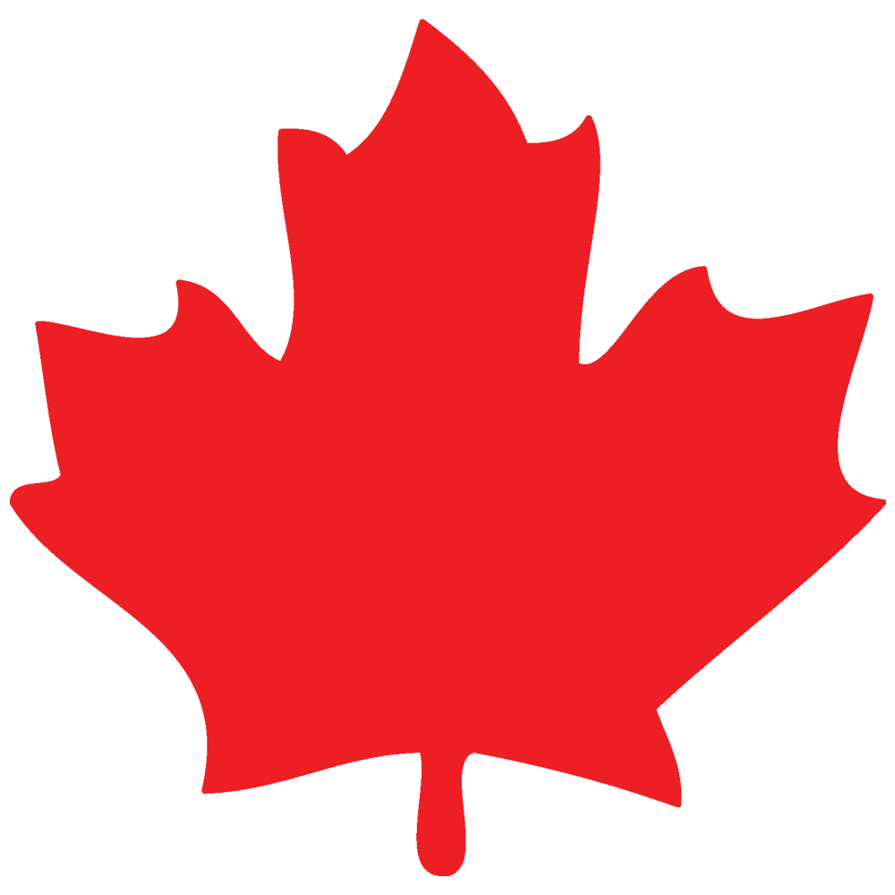 torontomike.com logo