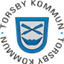 torsbyflygplats.se icon