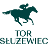torsluzewiec.pl icon