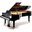 total-piano-care.com icon