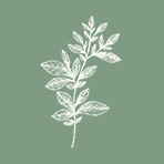 tottingtonmanor.co.uk icon