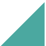 touchstormdatalabs.com icon