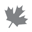 tourismfernie.com icon