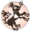 tourserrano.com icon