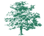 towncommon.org icon