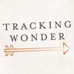 trackingwonder.com icon