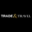 tradeandtravel.com icon