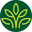 traditionalmedicinals.com icon