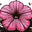 trailingpetunia.com logo