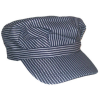 trainengineerhats.com icon