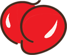 transando.net icon