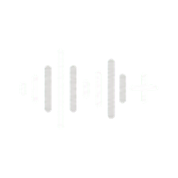 TranscriptionPlus